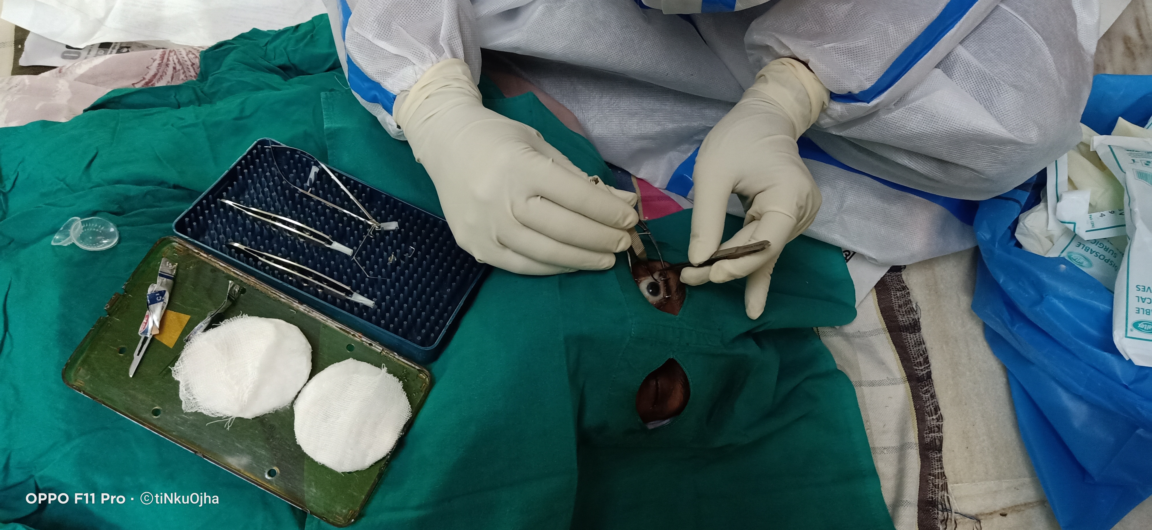 Shine India